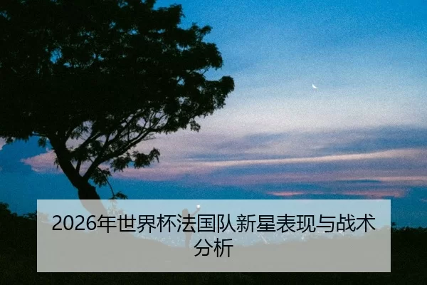 nian-shi-jie-bei-fa-guo-dui-xin-xing-biao-xian-yu-zhan-shu-fen-xi-2-725.jpg