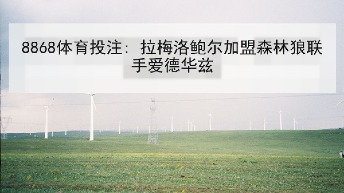 8868体育投注: 拉梅洛鲍尔加盟森林狼联手爱德华兹