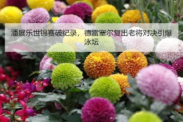 潘展乐世锦赛破纪录，德雷塞尔复出老将对决引爆泳坛