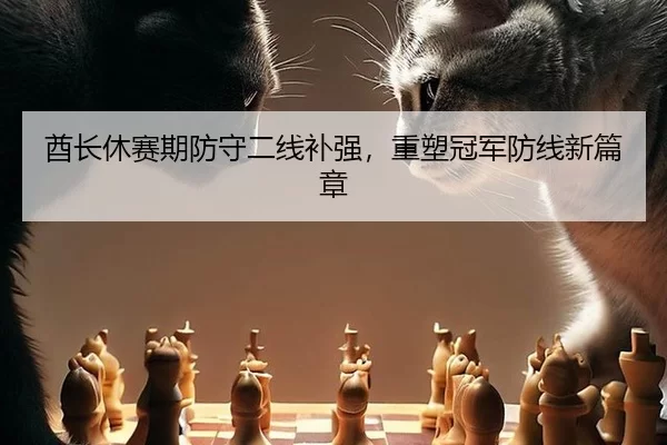 酋长休赛期防守二线补强，重塑冠军防线新篇章