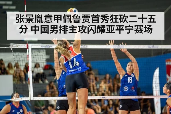 volleyball spike action
