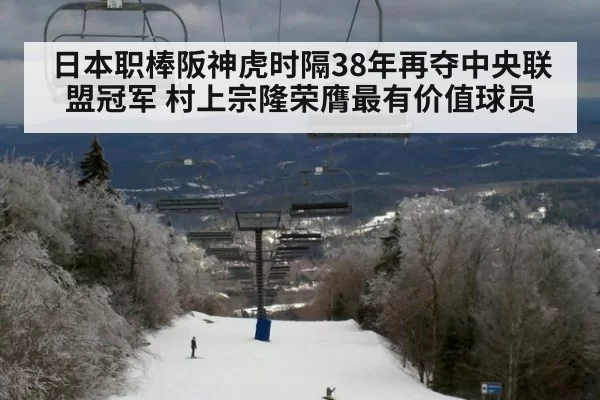 日本职棒阪神虎时隔38年再夺中央联盟冠军 村上宗隆荣膺最有价值球员