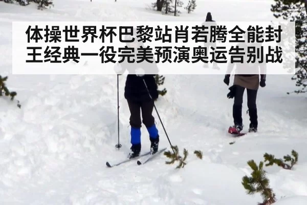 体操世界杯巴黎站肖若腾全能封王经典一役完美预演奥运告别战